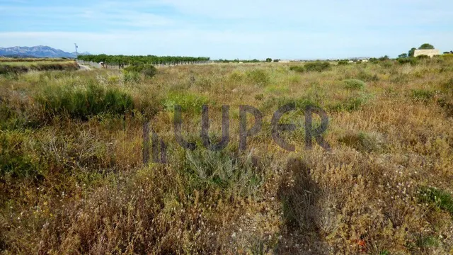 Se vende Terreno Rustico en Alicante en la zona de Verdegas, - foto 4