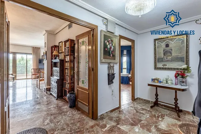 Pisazo en paseo del salón - Granada — 39