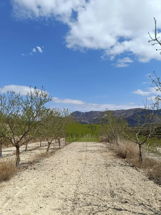 Espectacular Finca en Venta en Bèlgida — 35