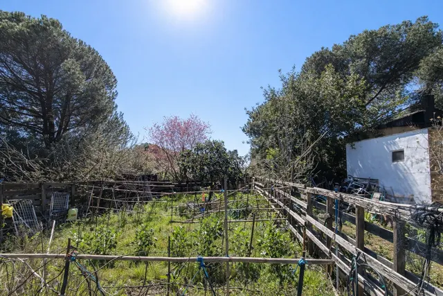 En venta maravillosa finca Rustica de Olivos — 31