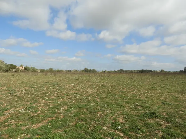 Terreno edificable con proyecto en Manacor - foto 4