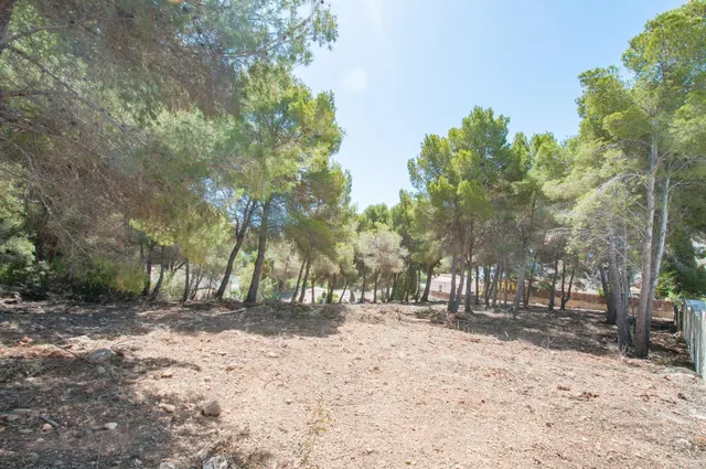 Parcela en venta - Pla del mar — 11