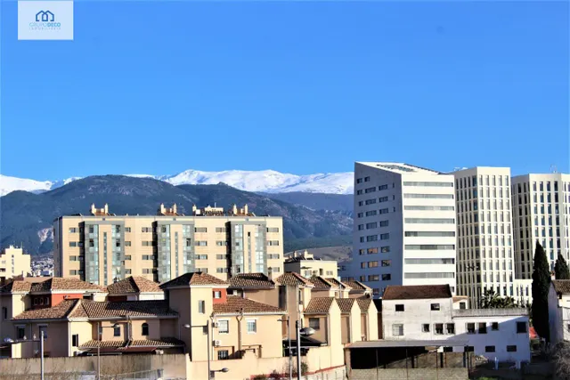 Apartamento 1 habitación 55m² en alquiler - Campus Salud — 10