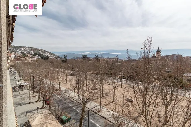 Piso con vistas a Sierra Nevada en Paseo del Salón. — 27