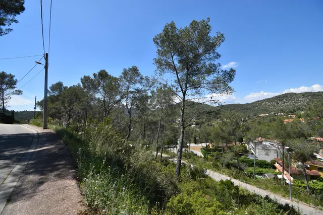 EXCELENTE TERRENO EN MAS MESTRE, OLIVELLA — 3