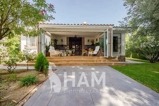 Chalet independiente con casa de invitados en Olivar de Mira - foto 4