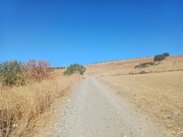Finca rústica en venta Coín Costa del Sol — 3
