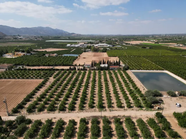 Oportunidad Inversión: Parcelas Rurales en Orihuela — 2