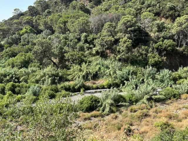 Parcela en venta - Costa Del Sol — 11