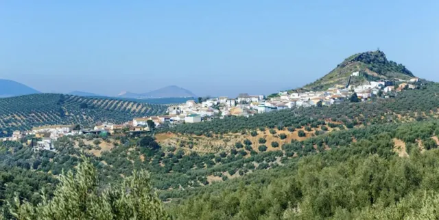 Parcela en venta - Andalucia — 17