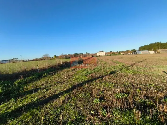 SE VENDE FINCA EDIFICABLE PARA CHALETS CERCA DE NADELA — 9