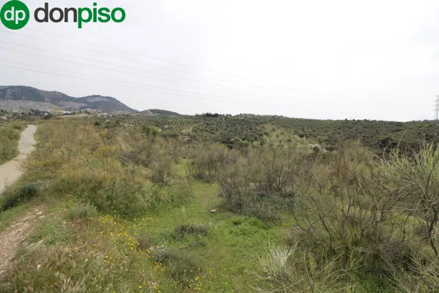 FINCA EN CORTIJO SAN JERÓNIMO (BARTODANO) — 22