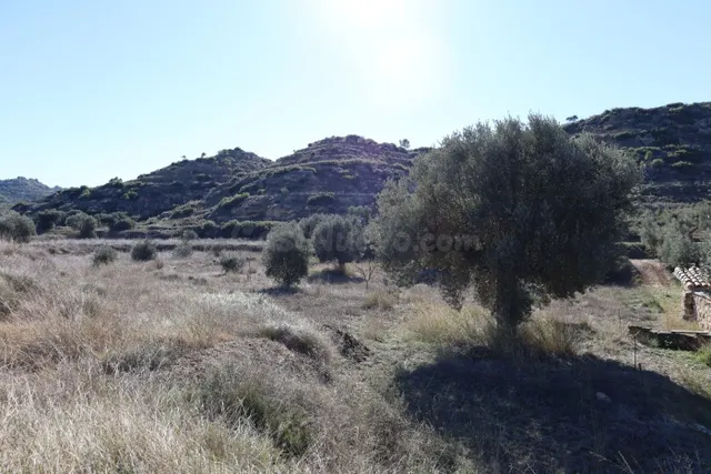 Se vende Terreno próximo a la Carretera de Castelserás - Alc - foto 5