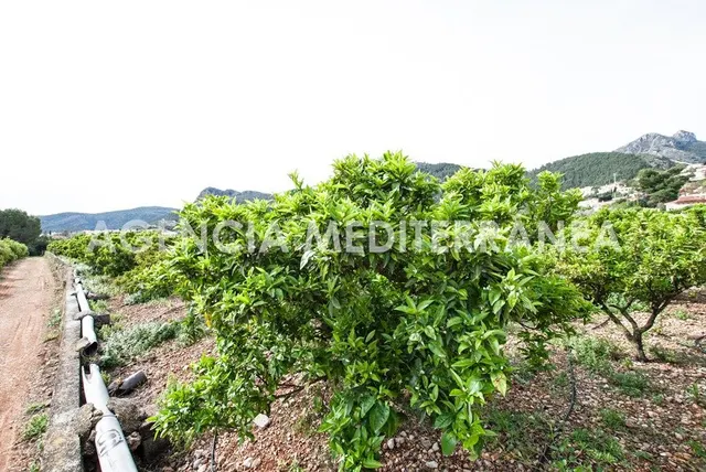 AMPLIA PARCELA URBANIZABLE PROXIMA ORBA CENTRO — 4