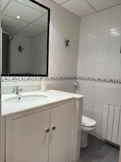 Alquiler de amplio piso en le centro, zona calle correos. — 13