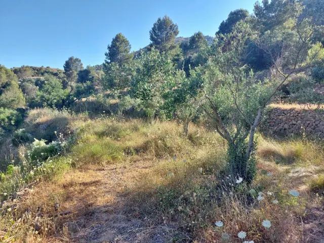 Casa de campo con proyecto para la construcción de una vivienda de 143m2 — 12