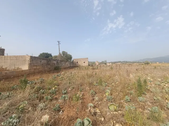 FINCA RUSTICA EDIFICABLE - foto 4