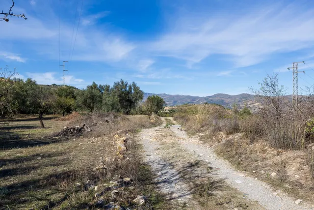 FINCA RUSTICA EN LA VEGUETA, PINOS DEL VALLE!! - foto 2