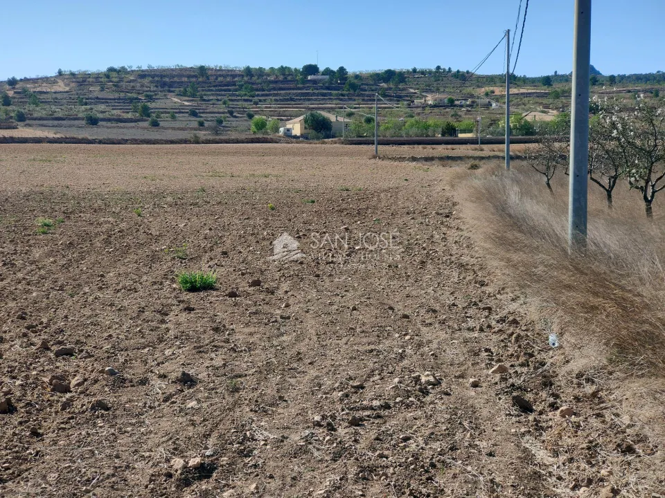 SE VENDE PARCELA EN BARBARROJA CERCA DEL PUEBLO