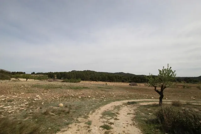 Villa 1 habitación 115m² en venta - Comunidad valenciana — 22