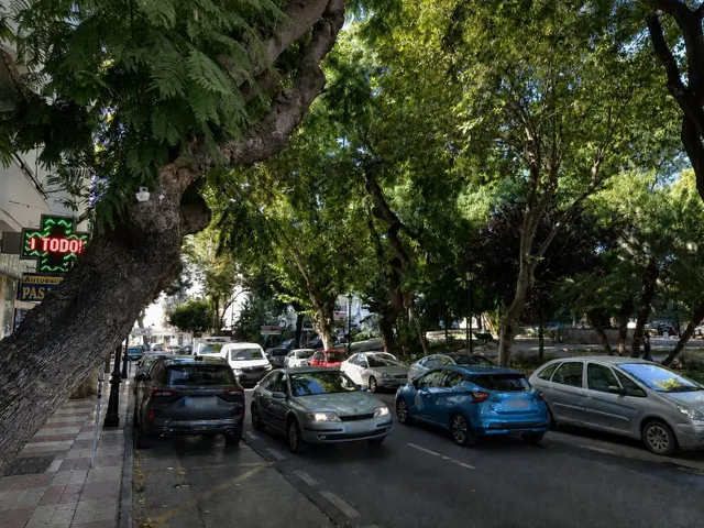 PISO DE 110 M2 CON TRES DORMITORIOS DOBLES Y TERRAZA EN EL CENTRO DE SAN PEDRO DE ALCÁNTARA — 25