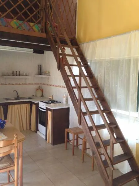 Chalet con terreno plantado — 24