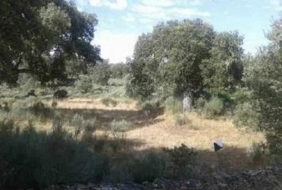 Urbis te ofrece una parcela rústica en venta en Castillejo de Dos Casas, Aldea del Obispo,Salamanca.