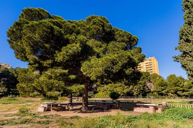 Dúplex 4 habitaciones en venta - Las Ramblas — 24