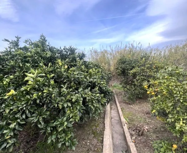 Piso 1051m² en venta - Comunidad valenciana - foto 3