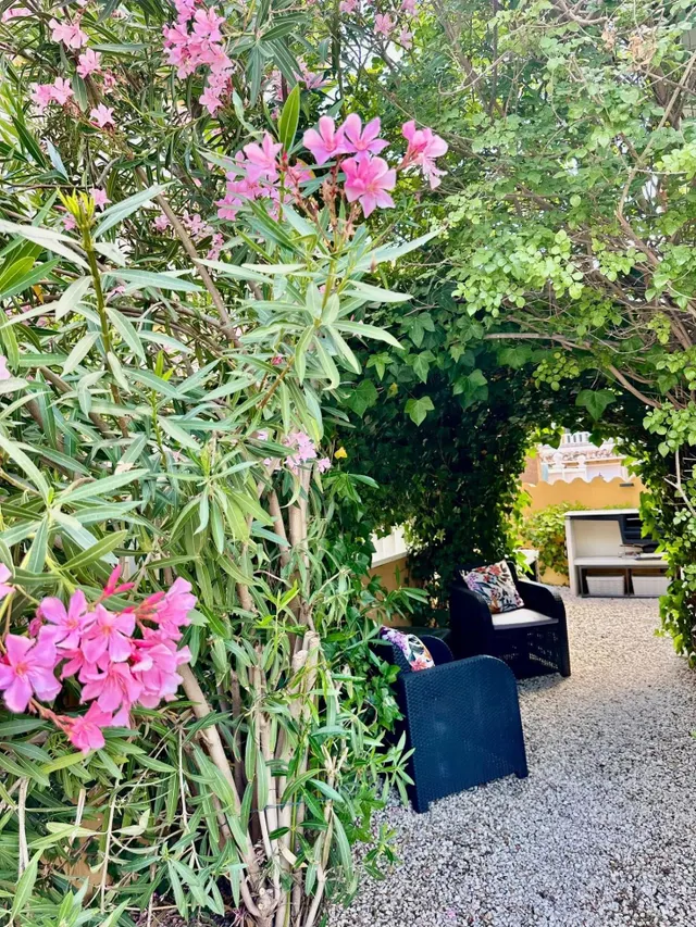 Preciosa casa en Lomas de Cabo Roig — 8
