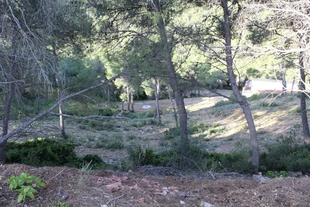 Parcela en Canyelles (Les Palmeres) — 3