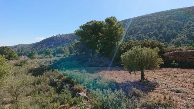 SE VENDE PARCELA EN TOTANA (MURCIA) — 7