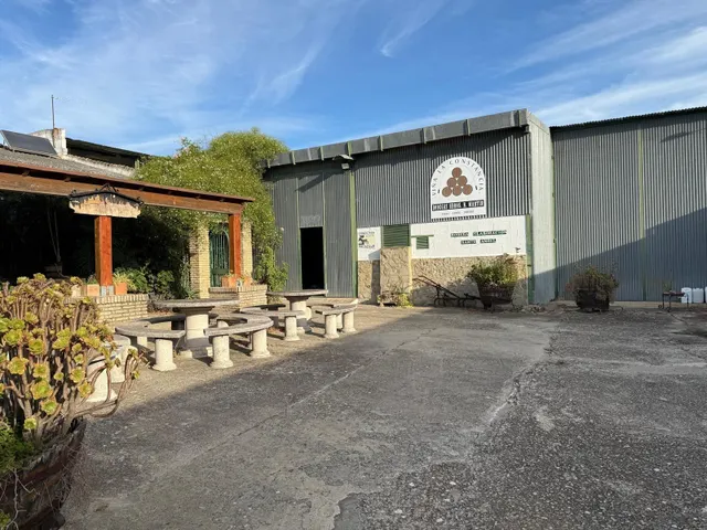Viñedo de 24,40ha 1300m2 naves y 400m2 restaurante — 11