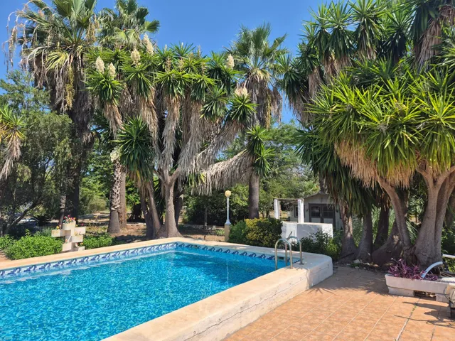 PRECIOSO CHALET EN OLIVA NOVA (VALENCIA) - foto 3