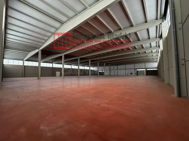 IMPULSE SU NEGOCIO EN UNA NAVE INDUSTRIAL DE NUEVA CONSTRUCC