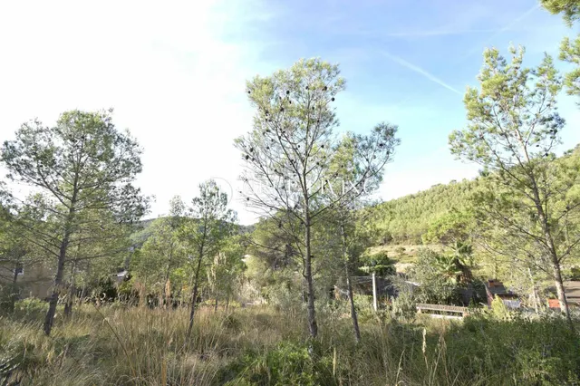 TERRENO CON BUENA ORIENTACIÓN Y VISTAS EN MAS MESTRE — 12