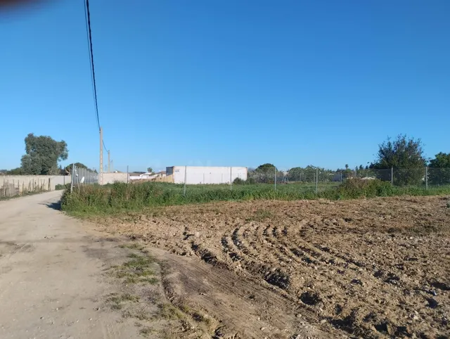 Parcela en Venta en Chiclana de la Frontera - Oportunidad Ún - foto 4