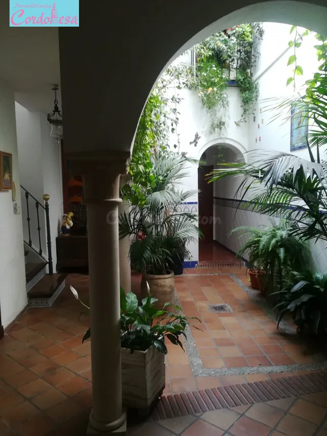 Casa 4 habitaciones 486m² en venta - Centro - foto 3