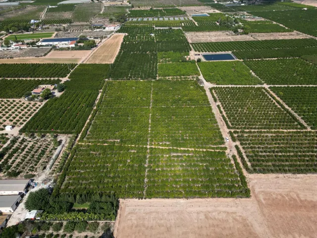 Oportunidad Inversión: Parcelas Rurales en Orihuela — 4