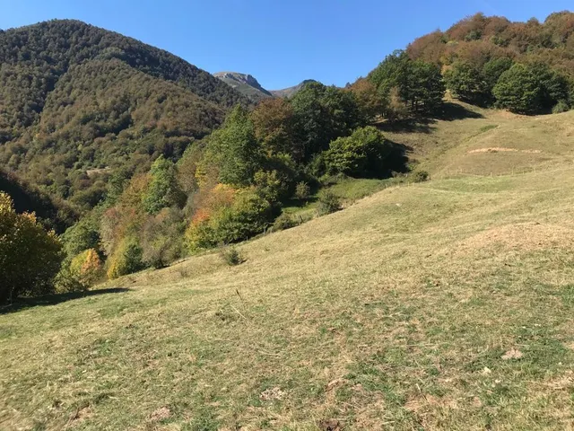 Terreno en Dobres- Ranes, Vega de Liébana. — 10