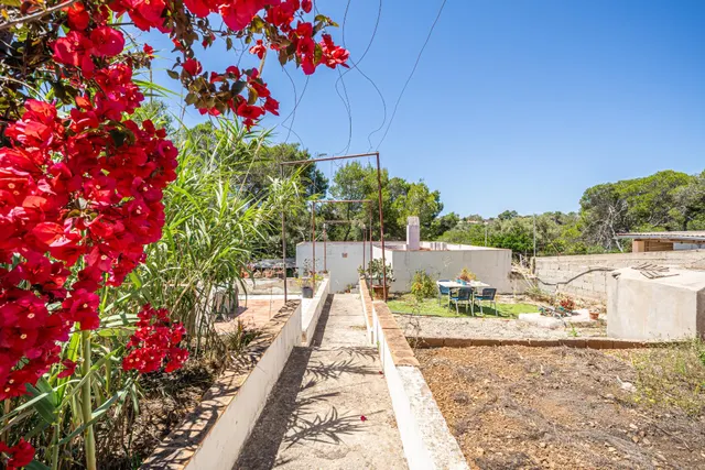 Casa con terreno en Son Moja, Santanyi — 4