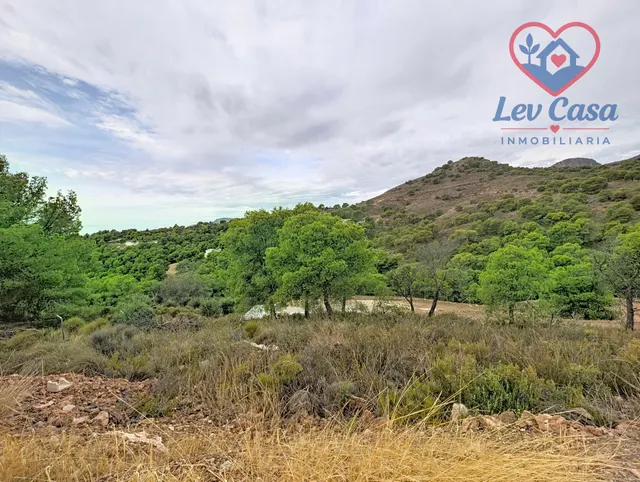 FINCA DE 10.400 M2 CON PISCINA EN SIERRA ESPUÑA — 120.000 € — 6