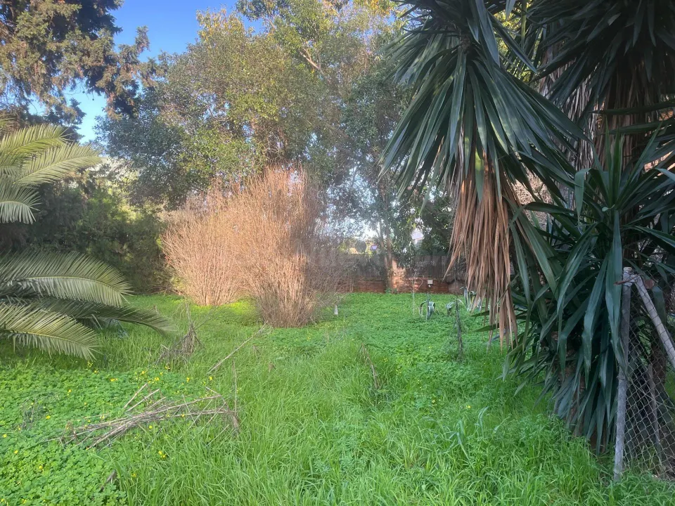 Exclusiva propiedad de 2.012 m2 en santa clara | tres fincas registrales en una de las mejores zonas de Sevilla