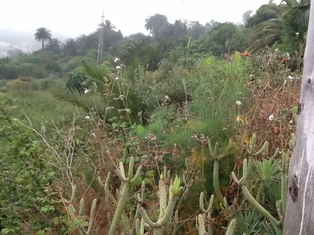 Terreno Puntillo Sol — 5