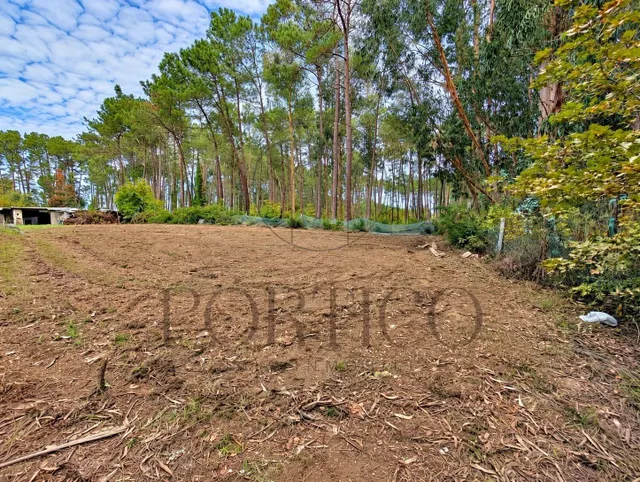 ¡Tu refugio en plena naturaleza! Casa para reformar en Salvatierra — 20