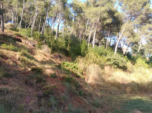 Espectacular terreno que da a dos calles, en Corbera de Llobregat, cerca Hotel Can Fisa. — 5