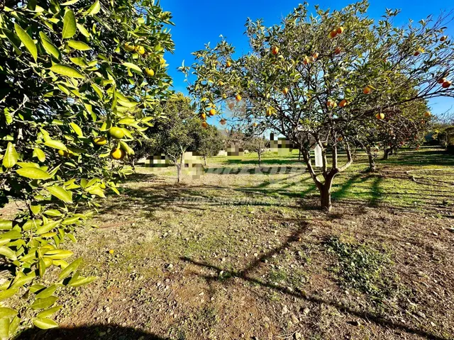 A 2 minutos de leroy merlin - Parcela de terreno de 1.500 m  - foto 2