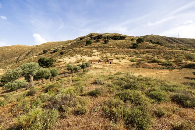 En Venta Maravilloso Paraje Natural, a medio camino entre Granada y Sierra Nevada, a veinte minutos en coche, desde cada una de ellas. — 18