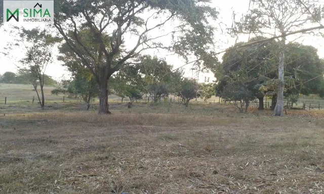 SE VENDE FINCA GANADERA EN EL MUNICIPIO DE MAHATES BOLIVAR — 19