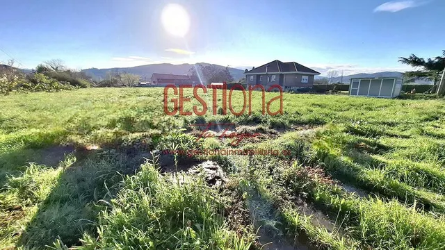 OPORTUNIDAD INVERSORES. TERRENO URBANO CON PROYECTO. ZURITA. - foto 4